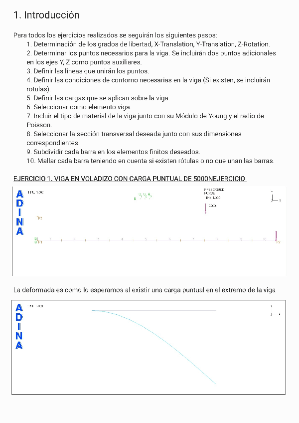 Miniatura del documento Informe-Practicas-Adina-Samuel-Castellanos-Lopez.pdf