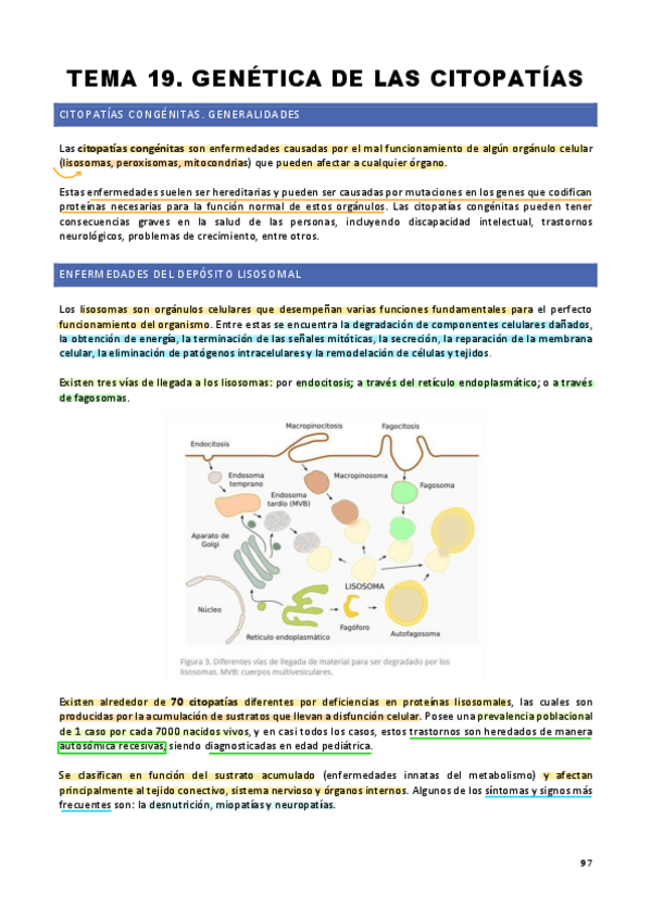 Miniatura del documento Genetica-tema-19-Genetica-de-las-citopatias..pdf