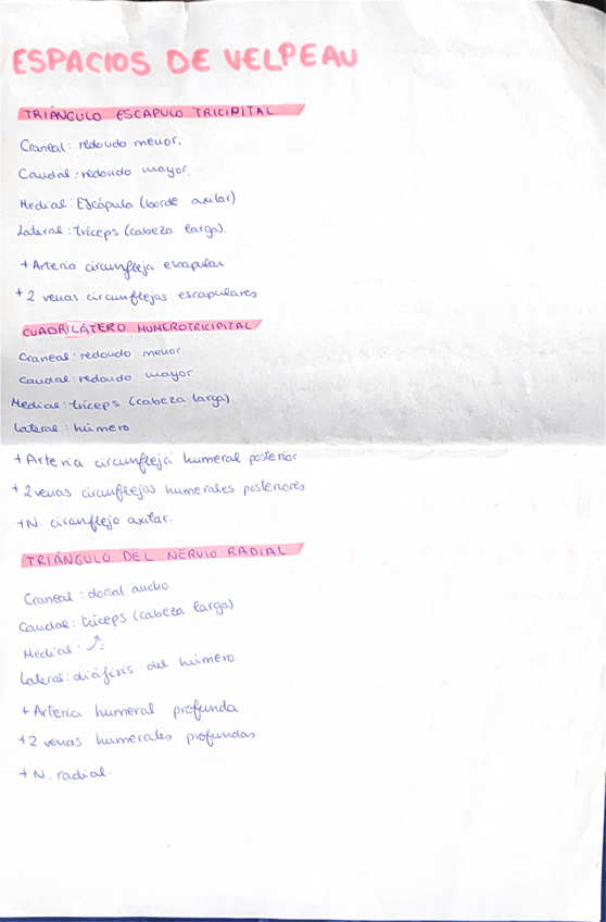 Miniatura del documento ESQUEMAS-ESPACIOS-1-PARCIAL-ANATO-1.pdf