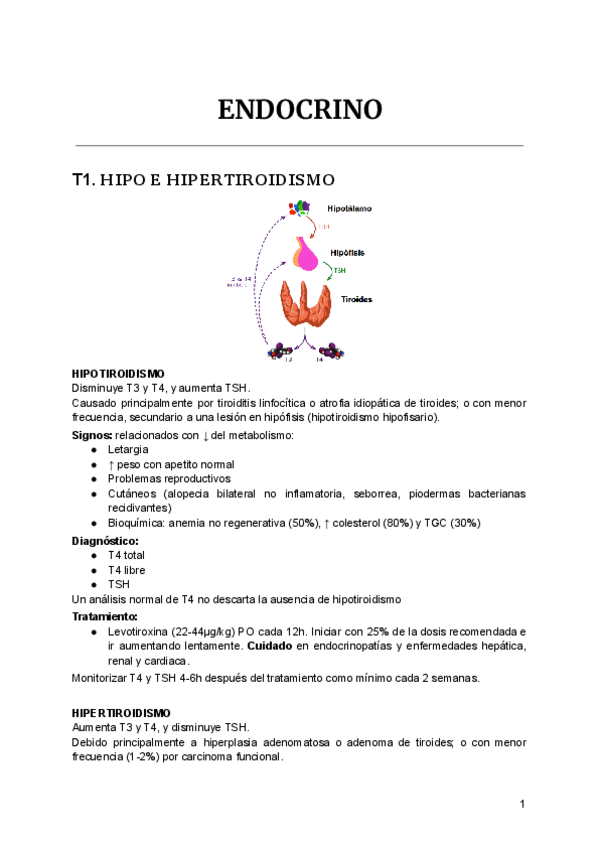 Miniatura del documento ENDOCRINO.pdf