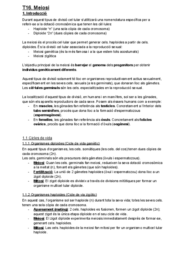 Miniatura del documento T16.-Meiosi.pdf