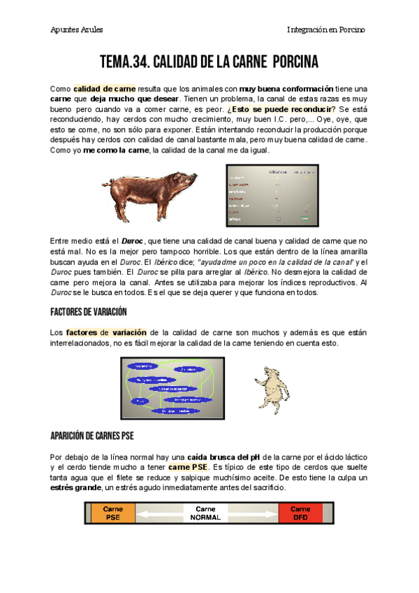 Miniatura del documento IPOR_TEMA_34.pdf