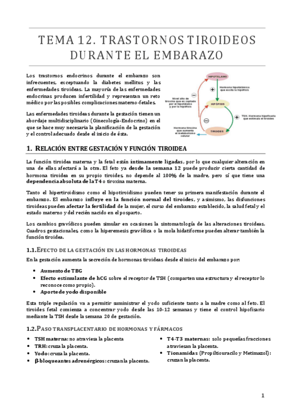 Miniatura del documento TEMA 12.pdf