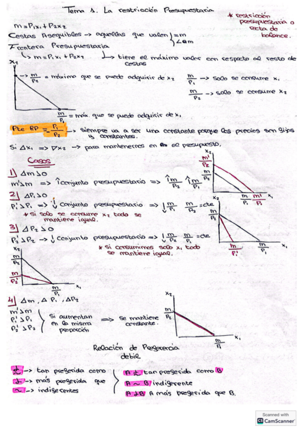 Miniatura del documento Resumen-explicativo-tema-1.pdf