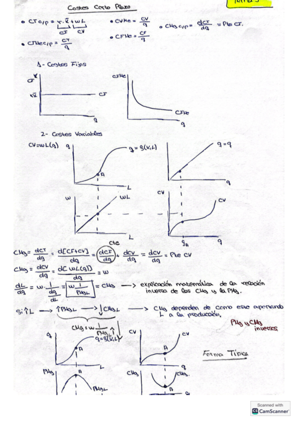 Miniatura del documento Resumen-explicativo-tema-5.pdf