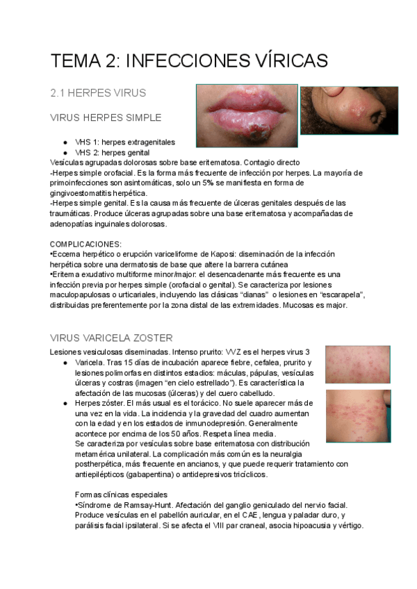 Miniatura del documento DERMA CTO.pdf