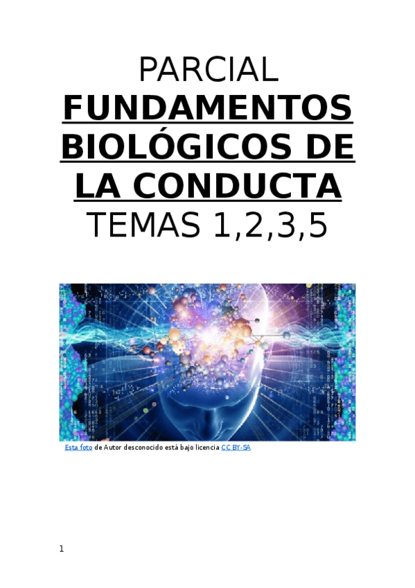 Miniatura del documento apuntes.docx