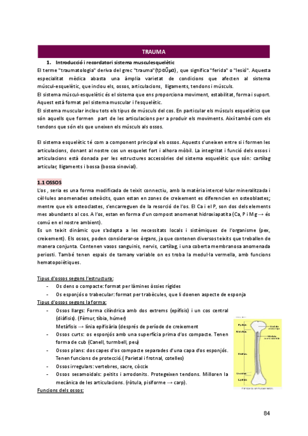 Miniatura del documento TRUMATOLOGIA.pdf