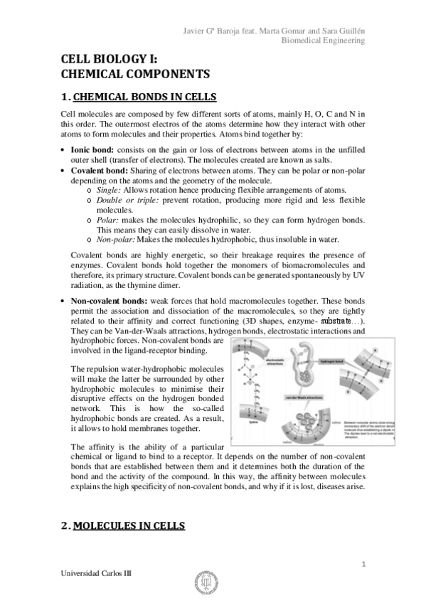 Miniatura del documento CELL BIOLOGY notes.pdf