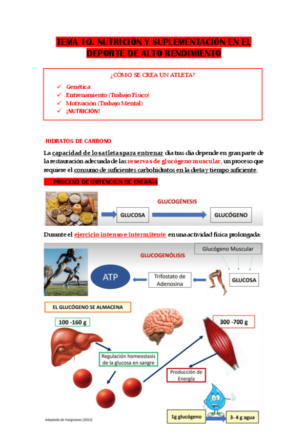 Miniatura del documento TEMA-10.-NUTRICION-Y-SUPLEMENTACION-EN-EL-DEPORTE-DE-ALTO-RENDIMIENTO.pdf