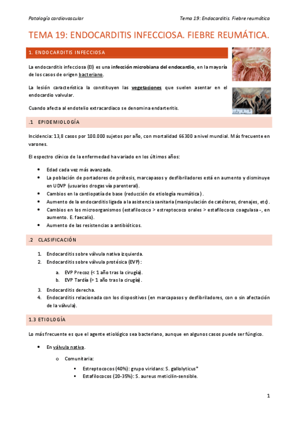 Miniatura del documento Tema-19-endocarditis-fiebre-reumatica.pdf