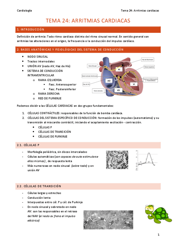 Miniatura del documento TEMA-24-intro-arritmias.pdf