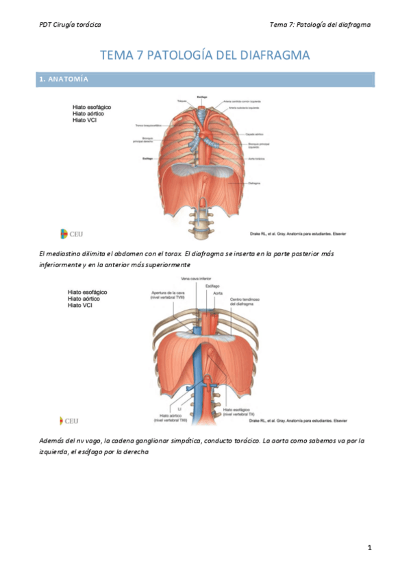 Miniatura del documento Tema-7-Cirugia-toracica.pdf
