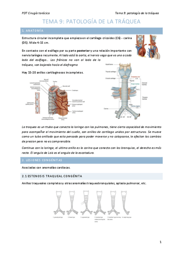 Miniatura del documento tema9-CTO.pdf