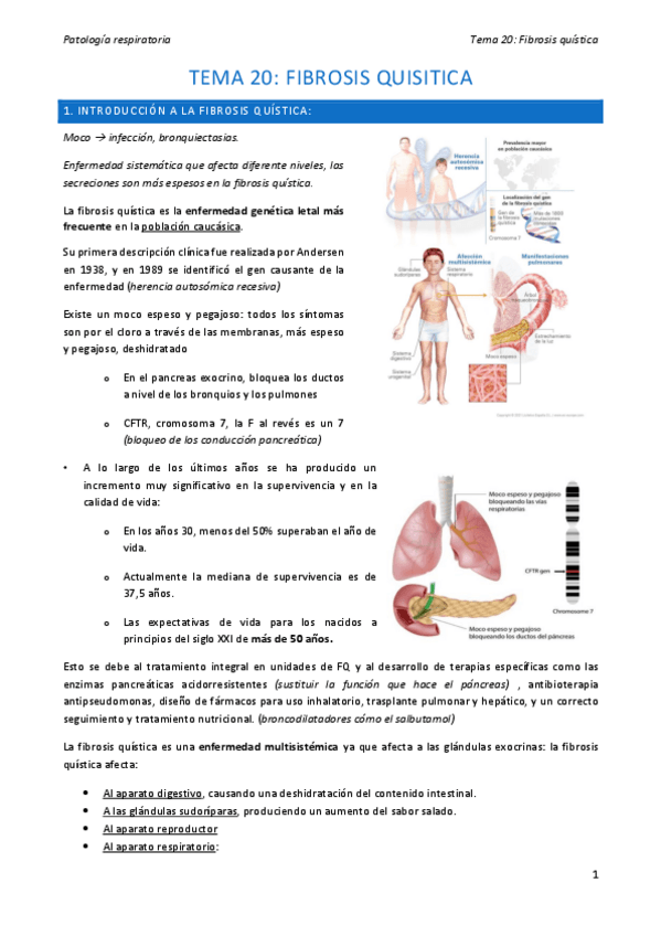 Miniatura del documento tema-20-neumo.pdf
