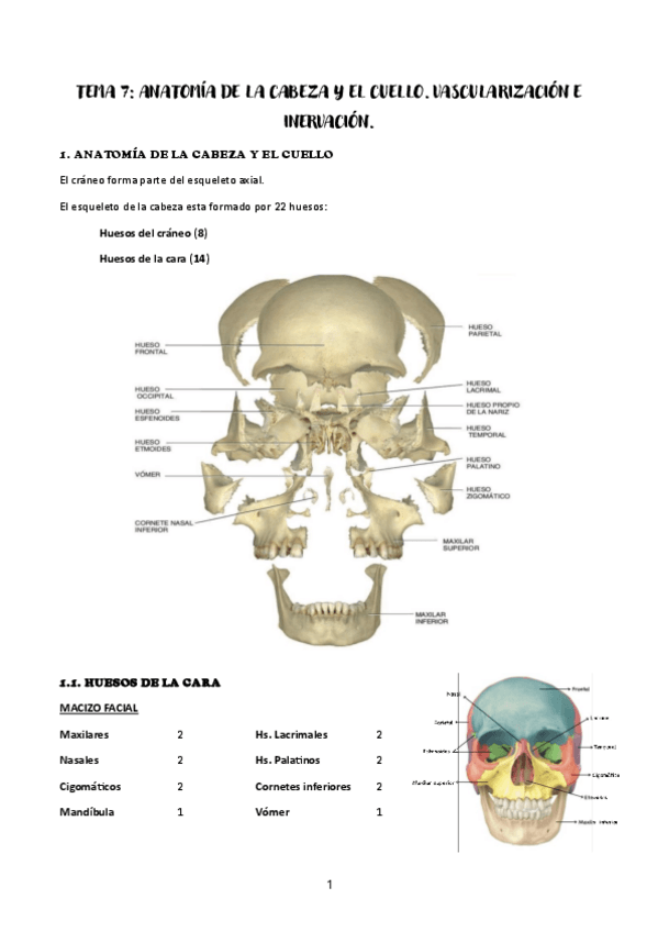 Miniatura del documento ECH-Tema-7.pdf