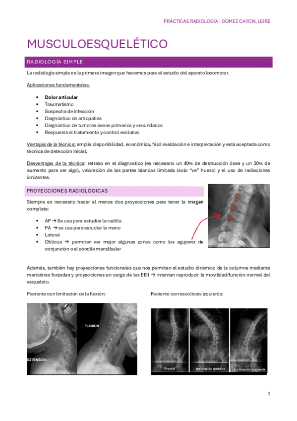 Miniatura del documento MUSCULOESQUELETICO.pdf