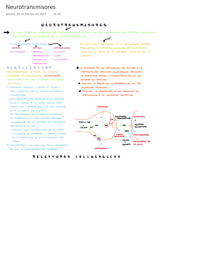 Miniatura del documento Neurotransmisores.pdf