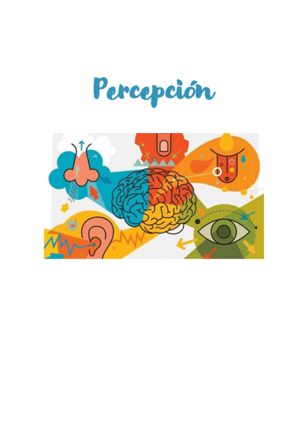 Miniatura del documento APUNTES-percepcion.pdf