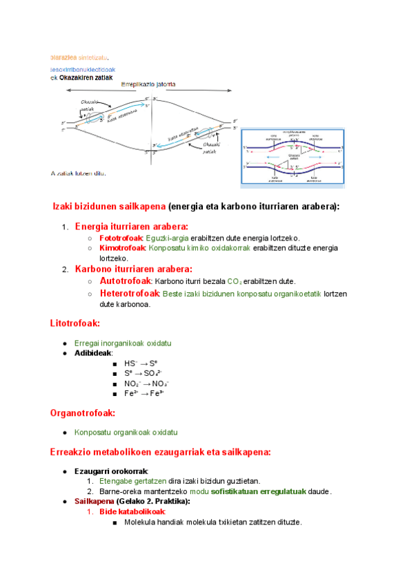 Miniatura del documento Biologia-PRIMERO-DE-CARRERA.pdf