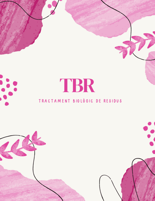 Miniatura del documento TBRtemes-1-2-3.pdf