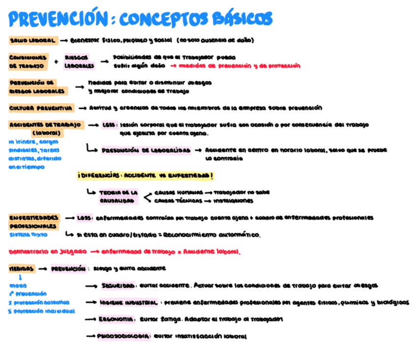 Miniatura del documento prevencion-conceptos-basicos.pdf