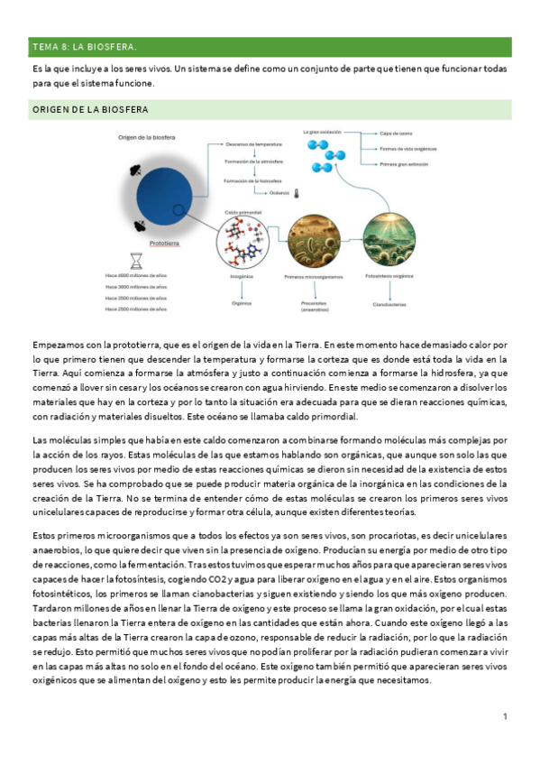 Miniatura del documento TEMA-8-LA-BIOSFERA.pdf