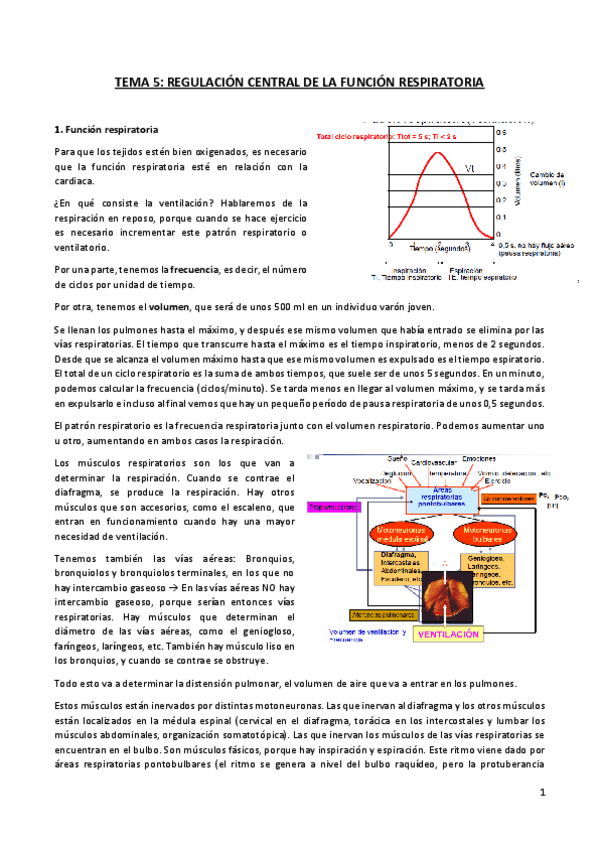 Miniatura del documento TEMA 5.pdf