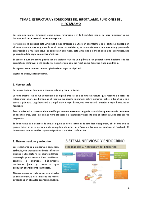 Miniatura del documento TEMA 2 (1).pdf