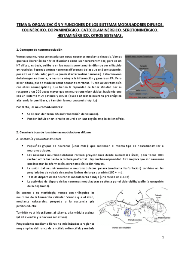 Miniatura del documento TEMA 3.pdf