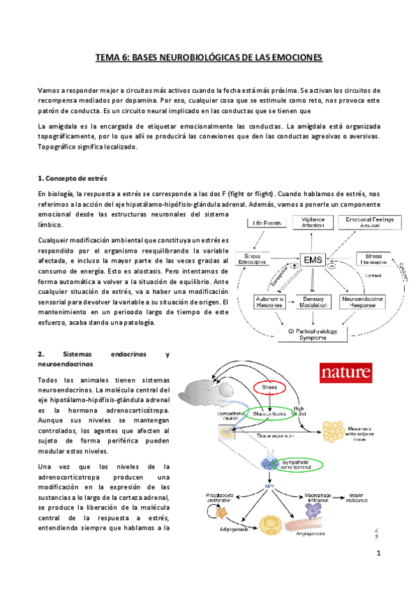 Miniatura del documento TEMA 6 (1).pdf