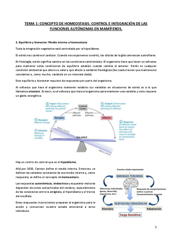 Miniatura del documento TEMA 1.pdf
