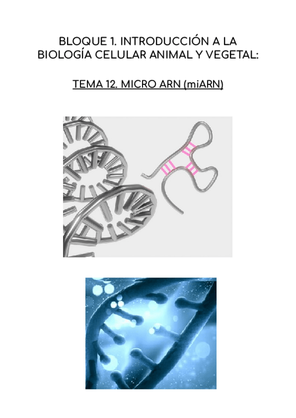 Miniatura del documento MICRO-RNA.pdf
