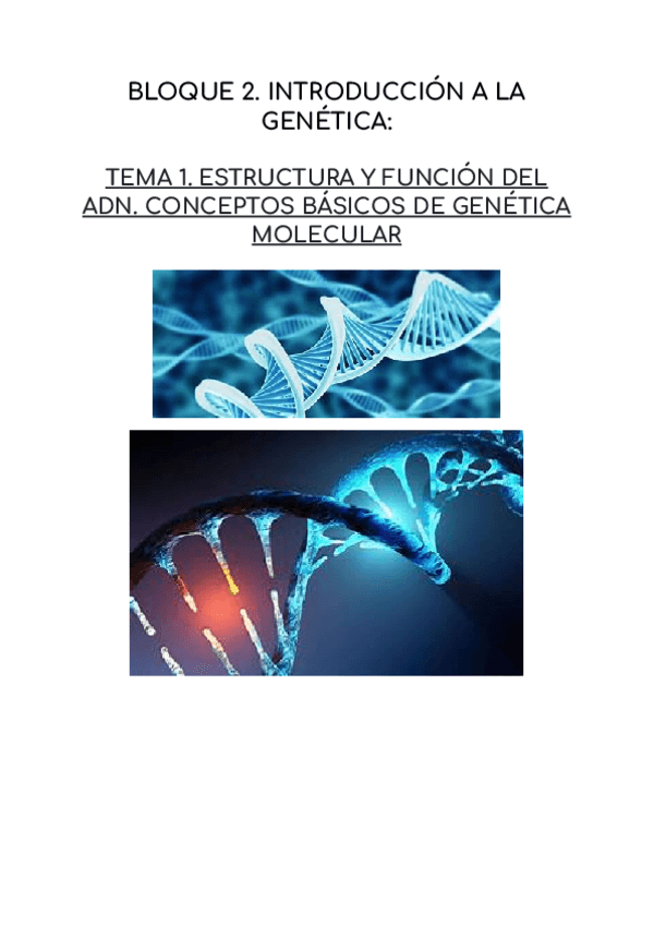 Miniatura del documento ESTRUCTURA-Y-FUNCION-DEL-ADN.-CONCEPTOS-BASICOS-DE-GENETICA-MOLECULAR.pdf