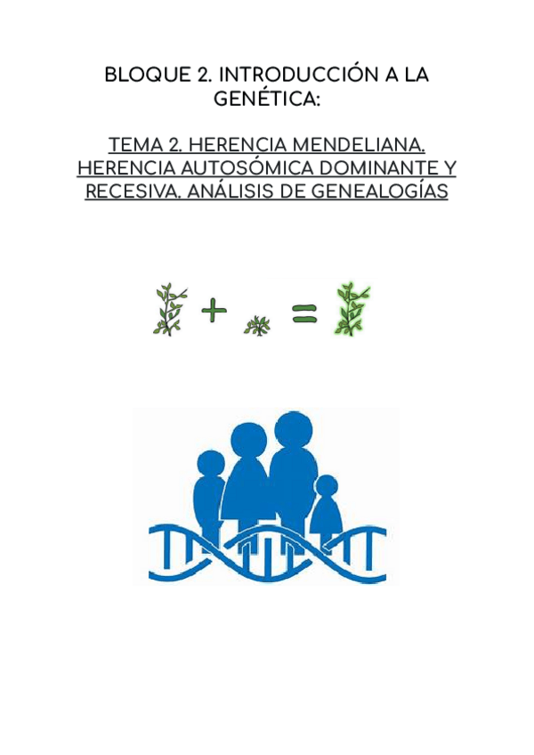 Miniatura del documento HERENCIA-MENDELIANA.-HERENCIA-AUTOSOMICA-DOMINANTE-Y-RECESIVA.-ANALISIS-DE-GENEALOGIAS.pdf