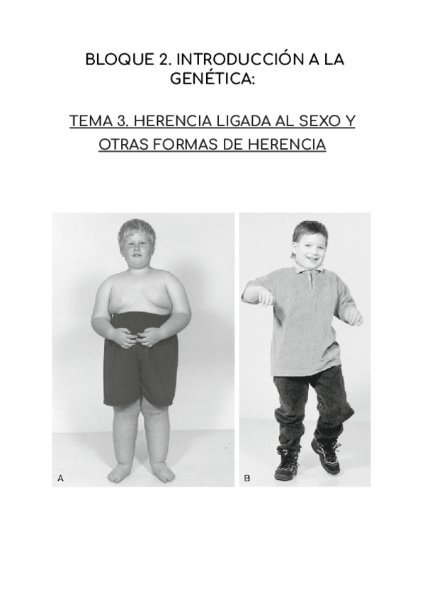 Miniatura del documento HERENCIA-LIGADA-AL-SEXO-Y-OTRAS-FORMAS-DE-HERENCIA.pdf