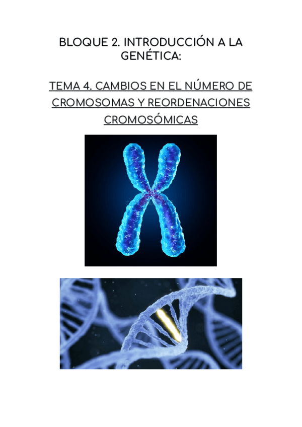 Miniatura del documento CAMBIOS-EN-EL-NUMERO-DE-CROMOSOMAS-Y-REORDENACIONES-CROMOSOMICAS.pdf