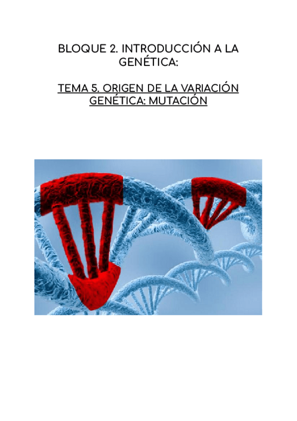 Miniatura del documento MUTACIONES.pdf