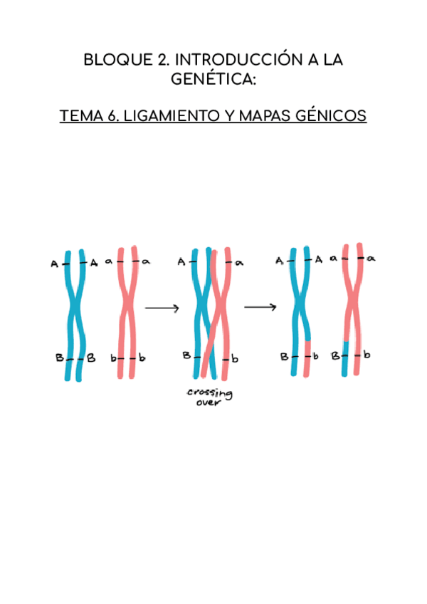 Miniatura del documento LIGAMIENTO-Y-MAPAS-GENICOS.pdf