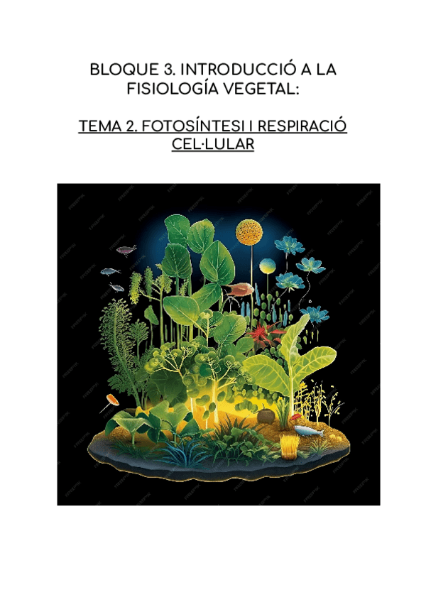 Miniatura del documento FOTOSINTESI-I-RESPIRACIO-CELLULAR.pdf
