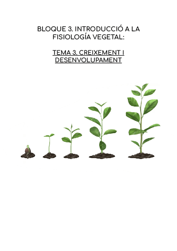 Miniatura del documento CREIXEMENT-I-DESENVOLUPAMENT-DE-LES-PLANTES.pdf