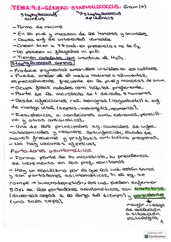 Miniatura del documento Resumen-T9.1.pdf