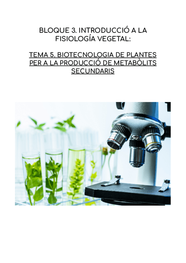 Miniatura del documento BIOTECNOLOGIA-DE-PLANTES-PER-A-LA-PRODUCCIO-DE-METABOLITS-SECUNDARIS.pdf