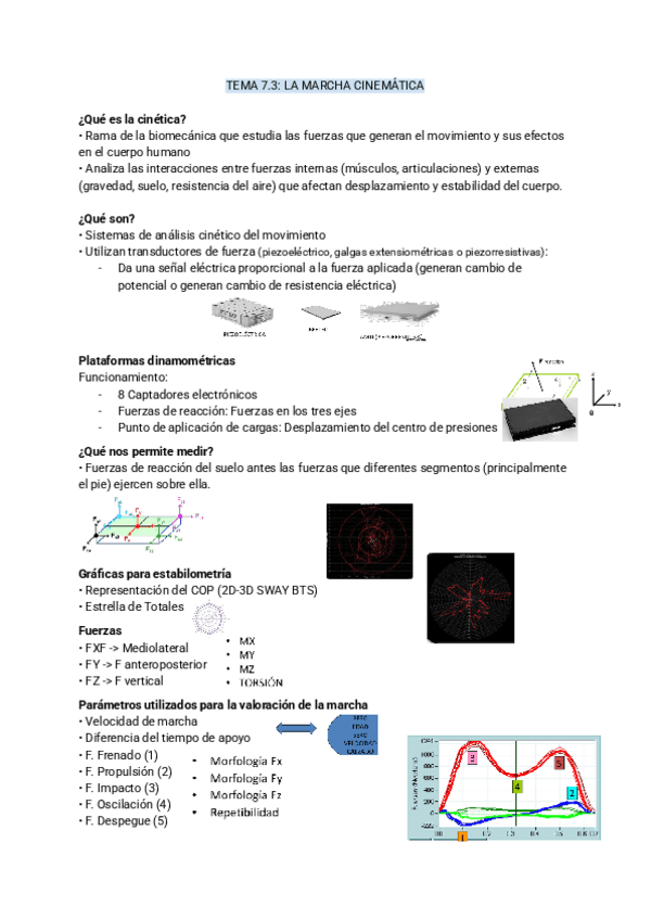 Miniatura del documento TEMA-7.3-biomecanica.pdf