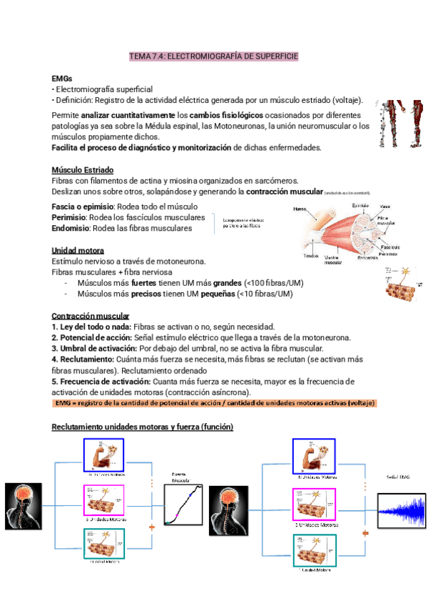 Miniatura del documento TEMA-7.4-biomecanica.pdf