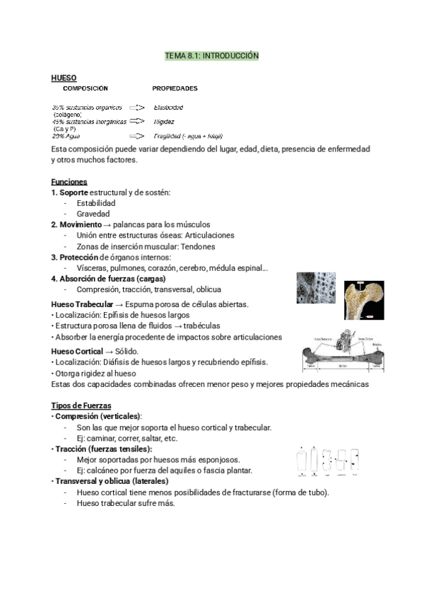 Miniatura del documento TEMA-8.1-biomecanica.pdf