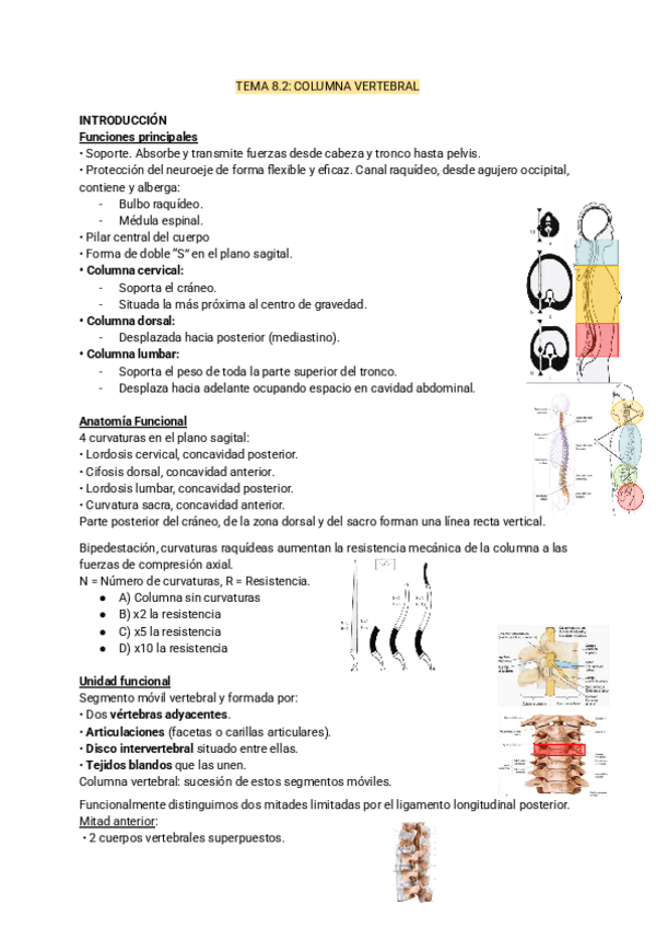 Miniatura del documento TEMA-8.2-biomecanica.pdf
