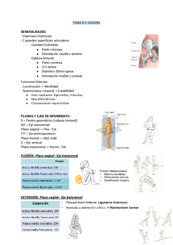 Miniatura del documento TEMA-8.3-biomecanica.pdf