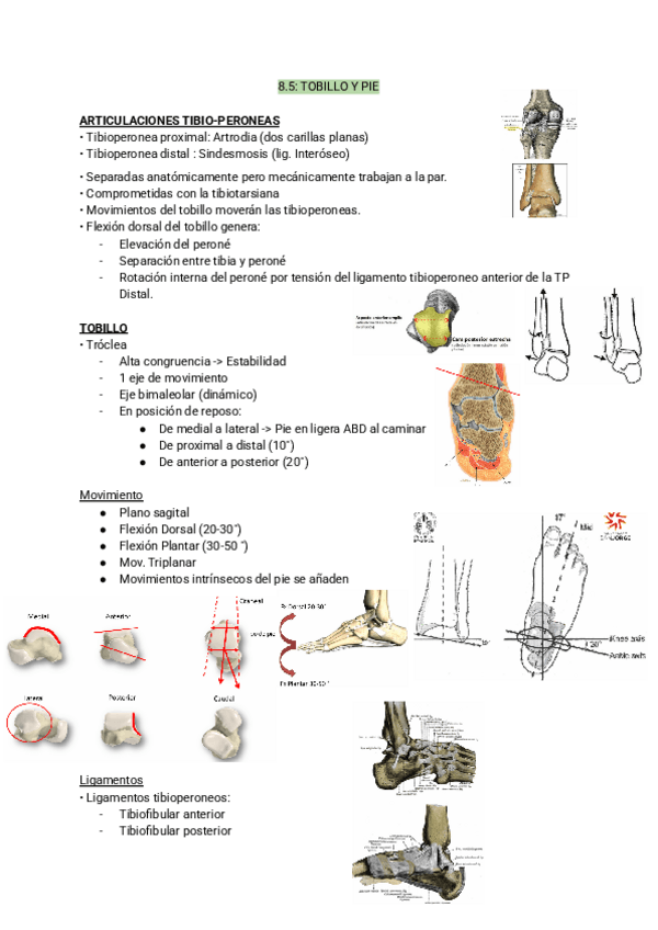 Miniatura del documento 8.5-biomecanica.pdf