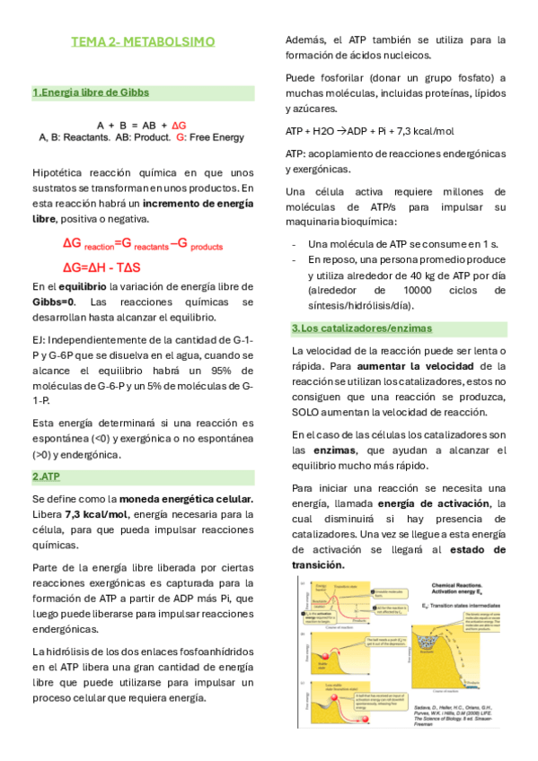 Miniatura del documento Biologia-unidad-2-metabolismo.pdf